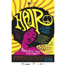 Hair poster