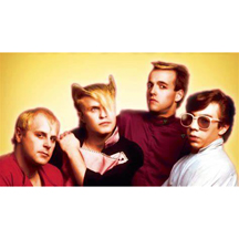 A Flock of Seagulls photo