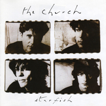 Starfish album cover
