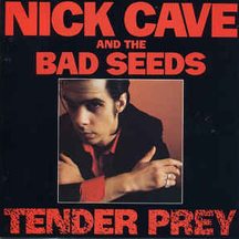 Tender Prey album cover